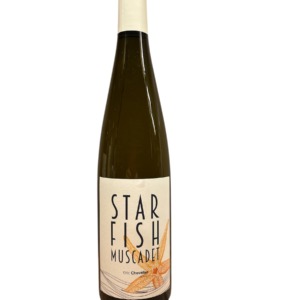 Chevalier - Star Fish 2023