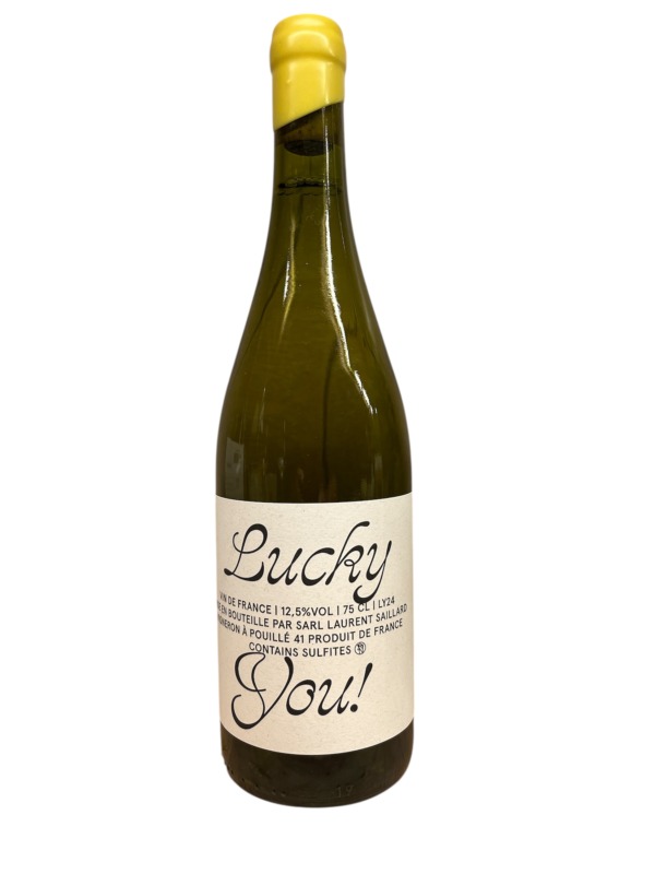 Laurent Saillard - Lucky You 2024